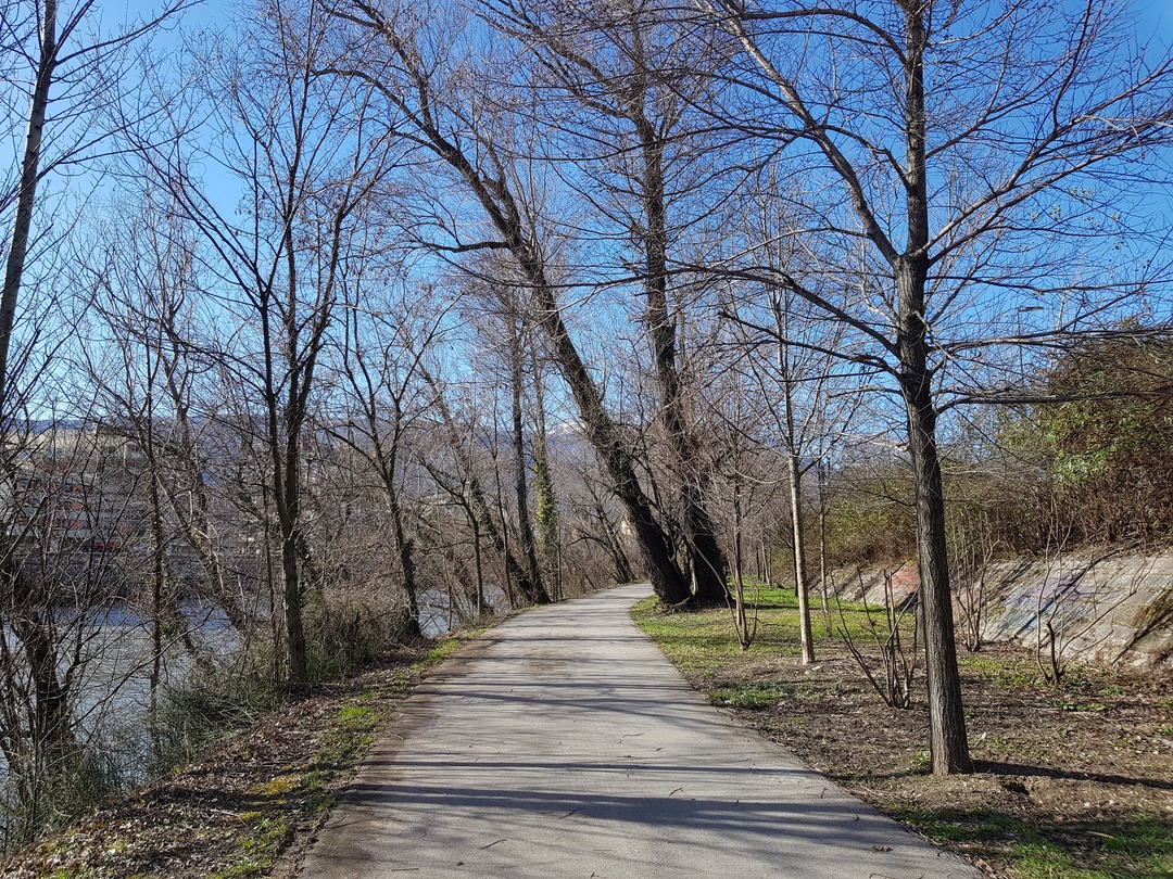 92101583_903209266795064_6680288090910621696_njpg