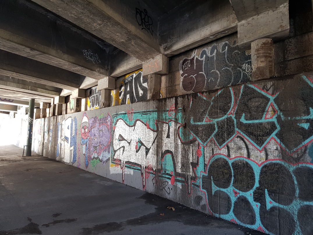 92358010_1615126631972500_6854799930771374080_njp