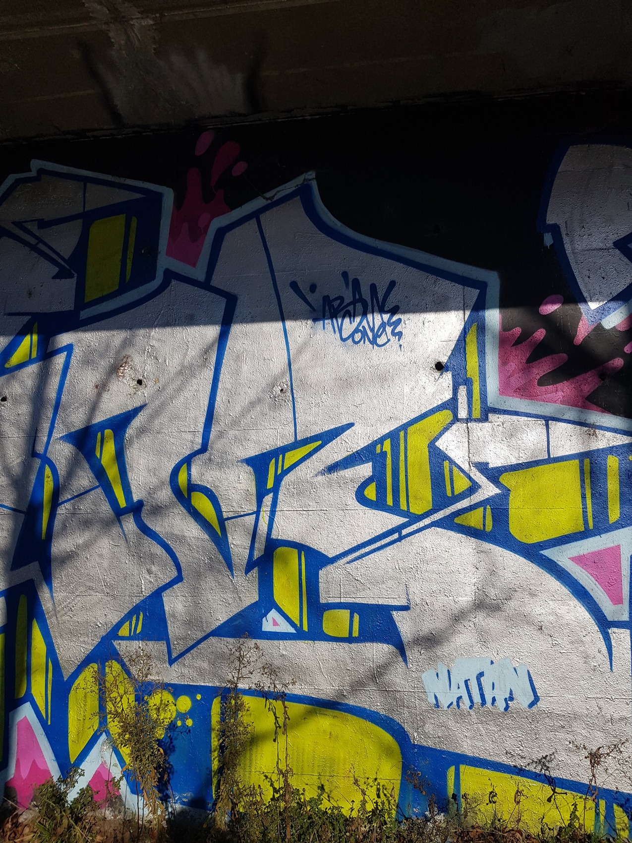 92374639_888946221566432_7120117103075524608_njpg